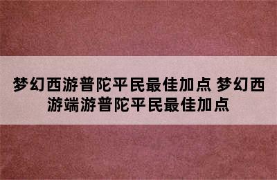 梦幻西游普陀平民最佳加点 梦幻西游端游普陀平民最佳加点